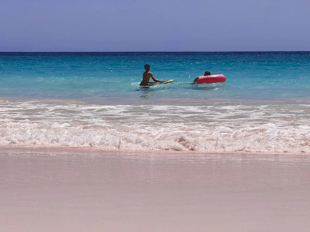 The wet sand line at Pink Sands Beach, Harbour Island, The Bahamas